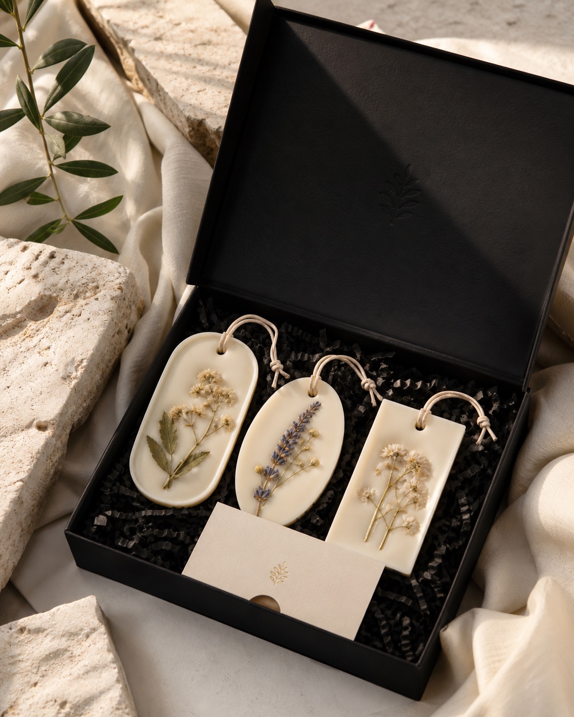 Colección Herbario Nüve con piezas botánicas en caja negra