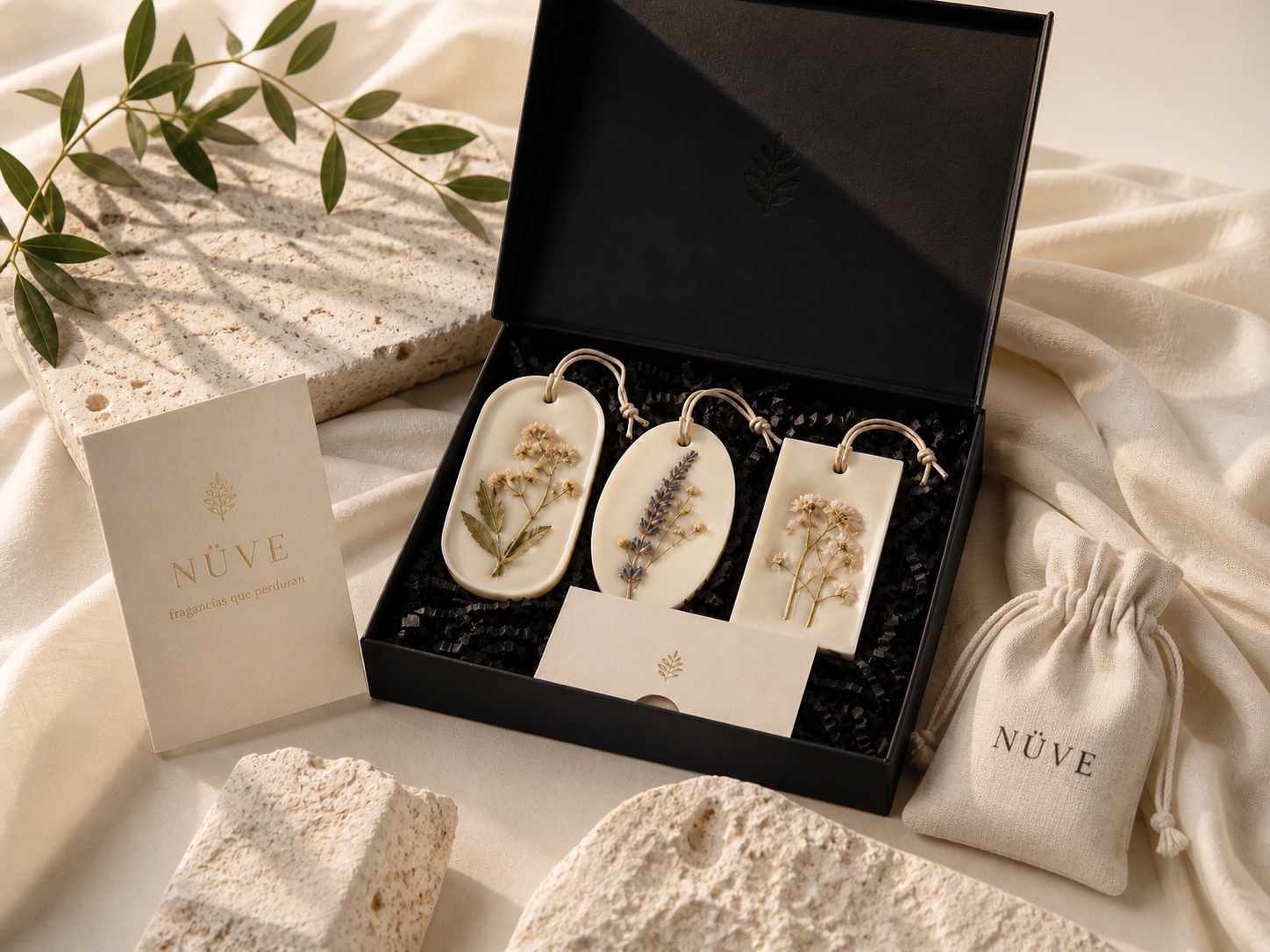 Colección Herbario Nüve con piezas botánicas en caja negra, fotografía 1